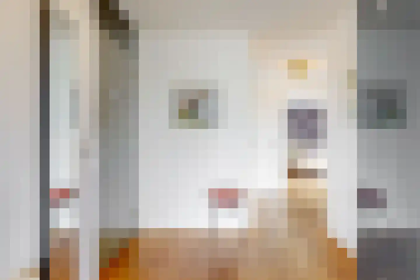 Wolff en Dekenlaan 118 Driehuis NH thumbnail 8