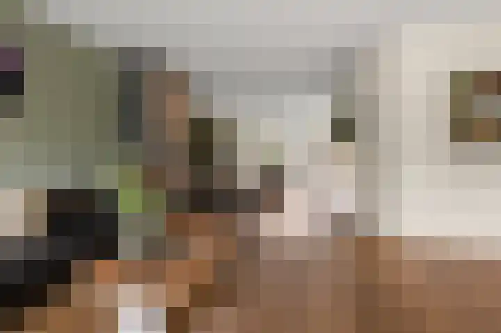 Wolff en Dekenlaan 15 Driehuis NH thumbnail 10