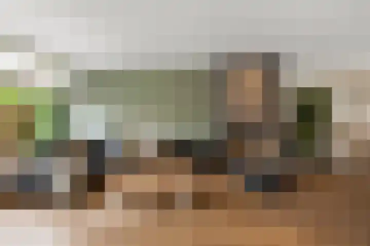 Wolff en Dekenlaan 15 Driehuis NH thumbnail 11