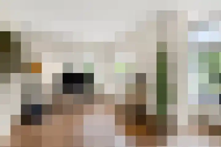 Wolff en Dekenlaan 15 Driehuis NH thumbnail 12