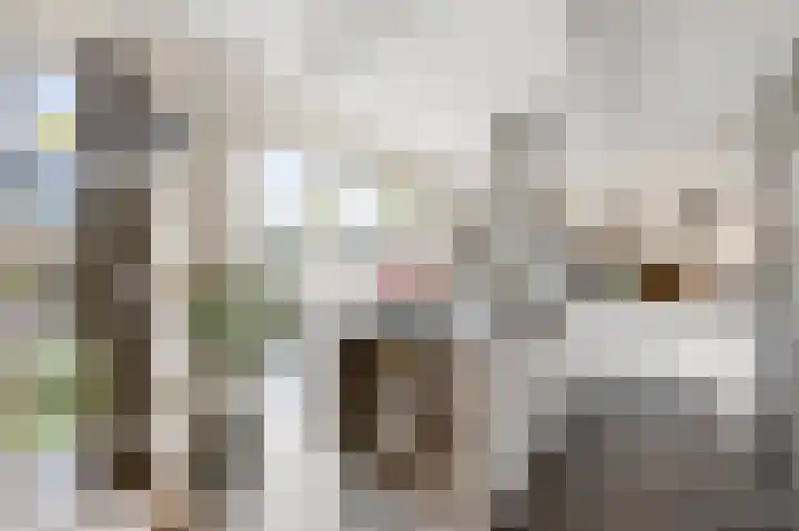 Wolff en Dekenlaan 15 Driehuis NH thumbnail 14