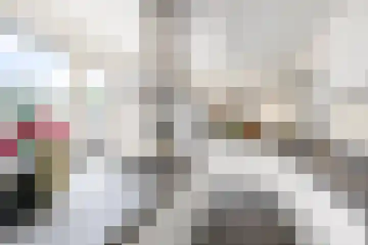 Wolff en Dekenlaan 15 Driehuis NH thumbnail 15