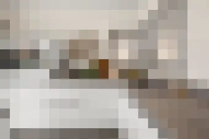 Wolff en Dekenlaan 15 Driehuis NH thumbnail 16