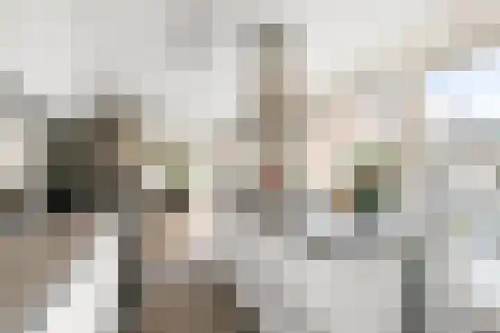 Wolff en Dekenlaan 15 Driehuis NH thumbnail 17