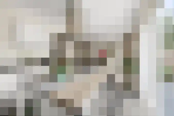 Wolff en Dekenlaan 15 Driehuis NH thumbnail 18