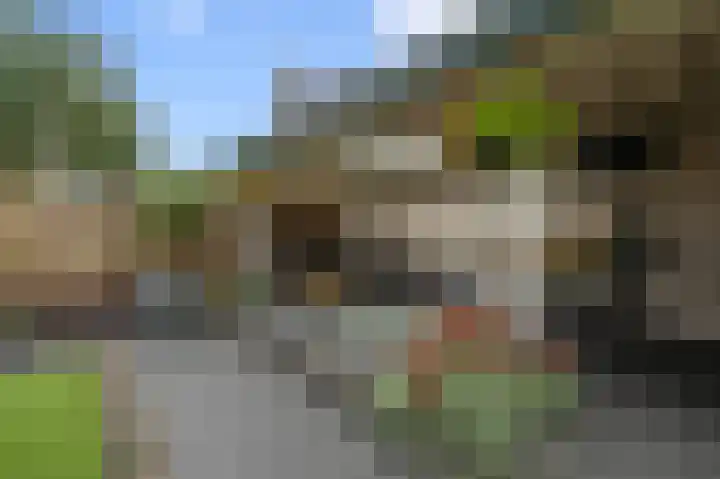 Wolff en Dekenlaan 15 Driehuis NH thumbnail 24