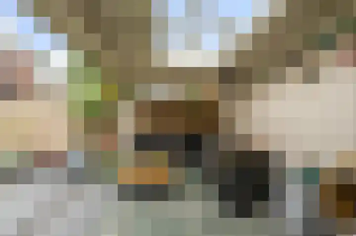 Wolff en Dekenlaan 15 Driehuis NH thumbnail 25