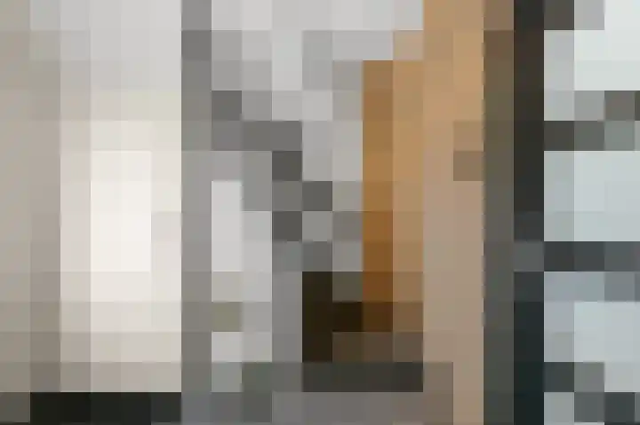 Wolff en Dekenlaan 15 Driehuis NH thumbnail 28