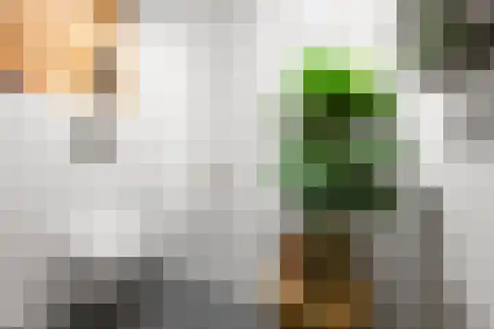 Wolff en Dekenlaan 15 Driehuis NH thumbnail 29
