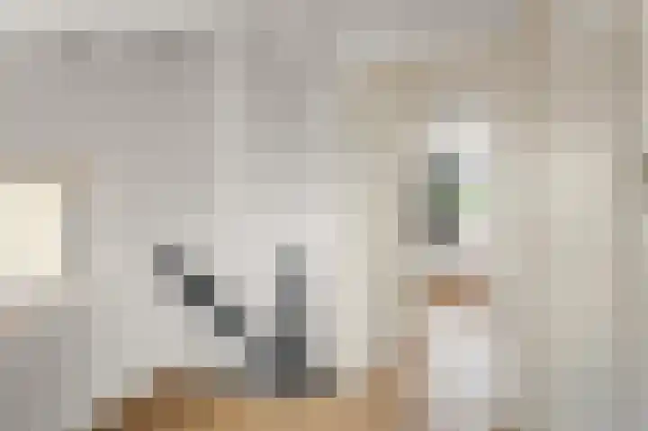 Wolff en Dekenlaan 15 Driehuis NH thumbnail 30