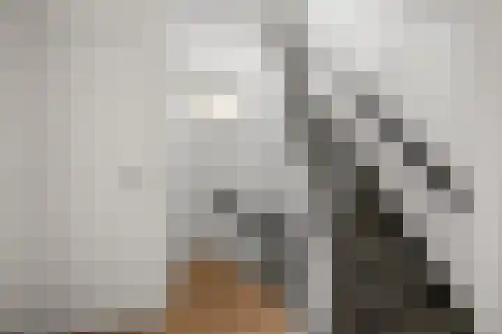Wolff en Dekenlaan 15 Driehuis NH thumbnail 31