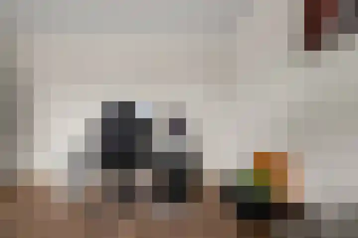 Wolff en Dekenlaan 15 Driehuis NH thumbnail 35
