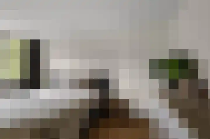 Wolff en Dekenlaan 15 Driehuis NH thumbnail 37