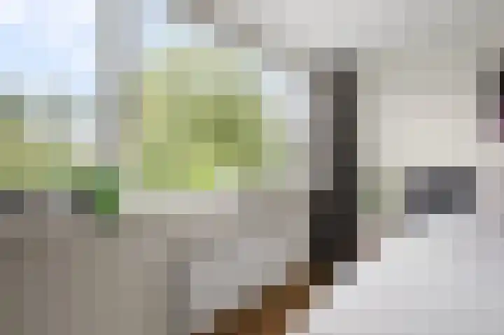 Wolff en Dekenlaan 15 Driehuis NH thumbnail 39