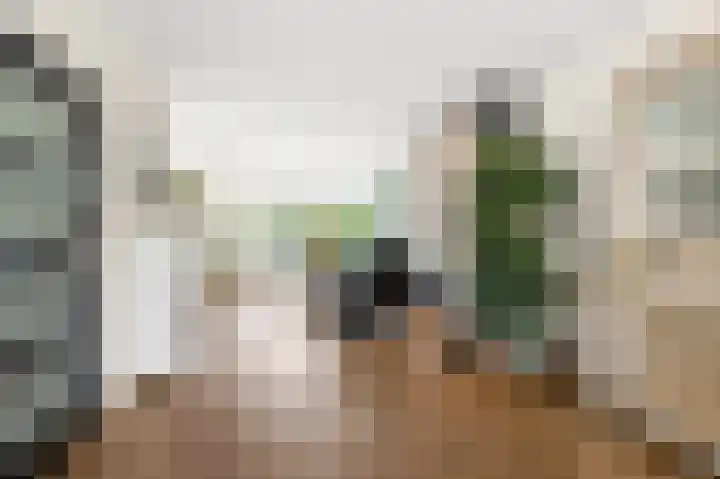 Wolff en Dekenlaan 15 Driehuis NH thumbnail 4