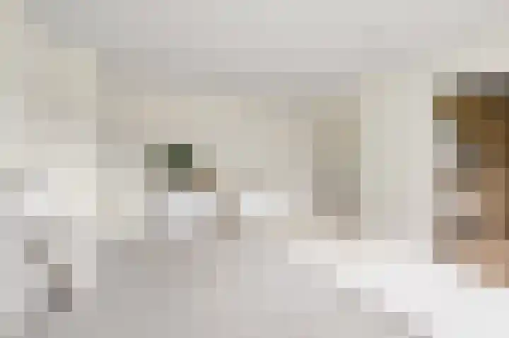 Wolff en Dekenlaan 15 Driehuis NH thumbnail 40
