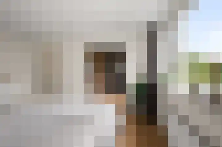 Wolff en Dekenlaan 15 Driehuis NH thumbnail 41