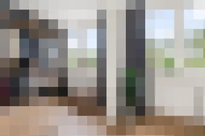 Wolff en Dekenlaan 15 Driehuis NH thumbnail 43
