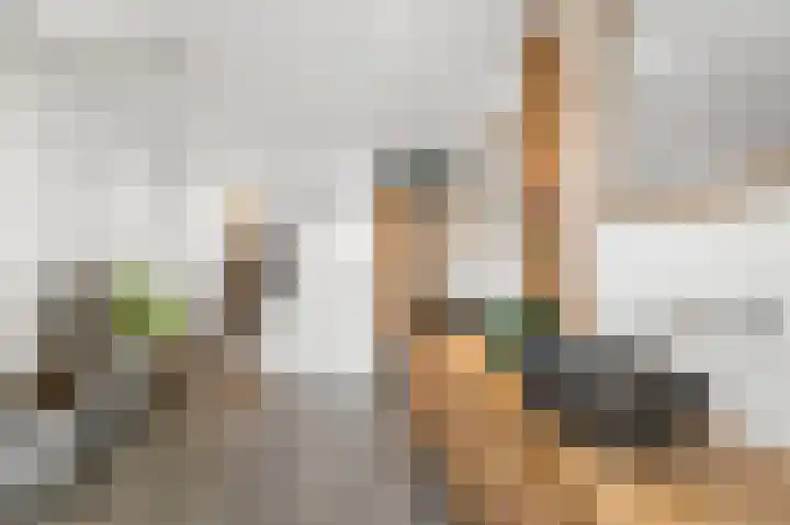 Wolff en Dekenlaan 15 Driehuis NH thumbnail 44
