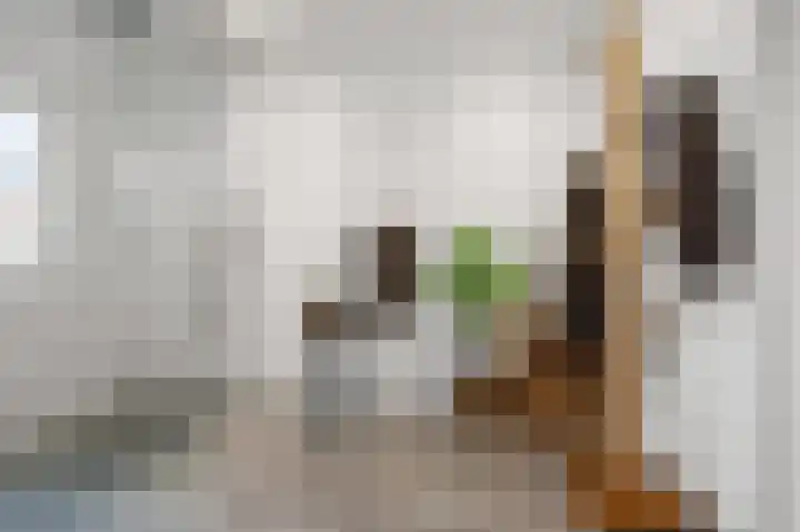 Wolff en Dekenlaan 15 Driehuis NH thumbnail 48