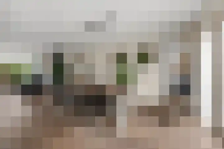 Wolff en Dekenlaan 15 Driehuis NH thumbnail 5