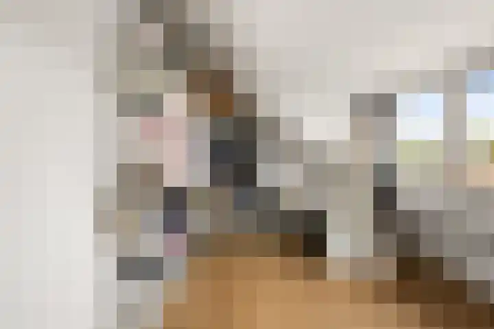 Wolff en Dekenlaan 15 Driehuis NH thumbnail 50