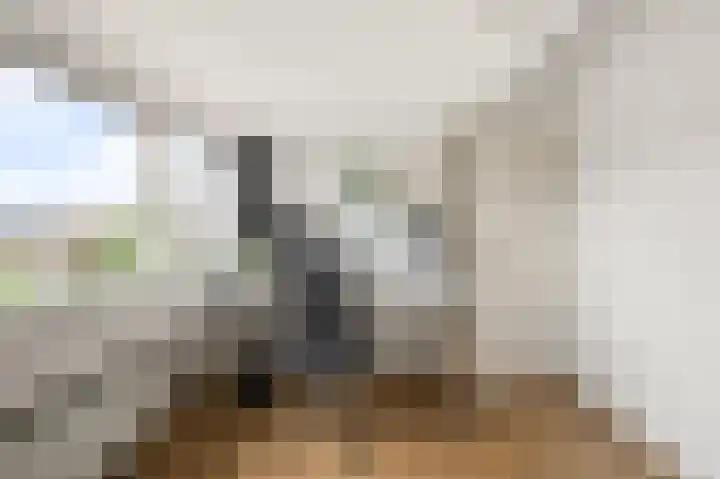 Wolff en Dekenlaan 15 Driehuis NH thumbnail 51