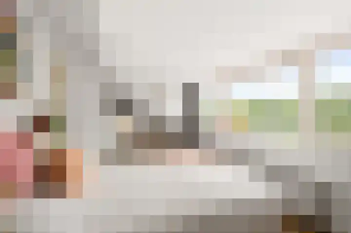 Wolff en Dekenlaan 15 Driehuis NH thumbnail 55