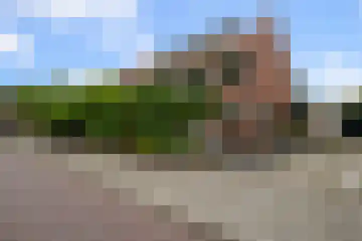 Wolff en Dekenlaan 15 Driehuis NH thumbnail 58