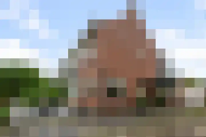 Wolff en Dekenlaan 15 Driehuis NH thumbnail 59