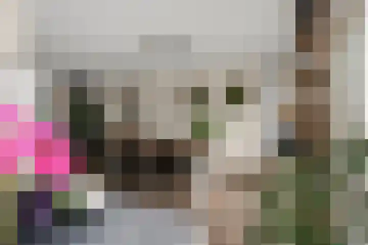 Wolff en Dekenlaan 15 Driehuis NH thumbnail 6