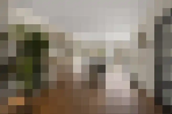 Wolff en Dekenlaan 15 Driehuis NH thumbnail 7