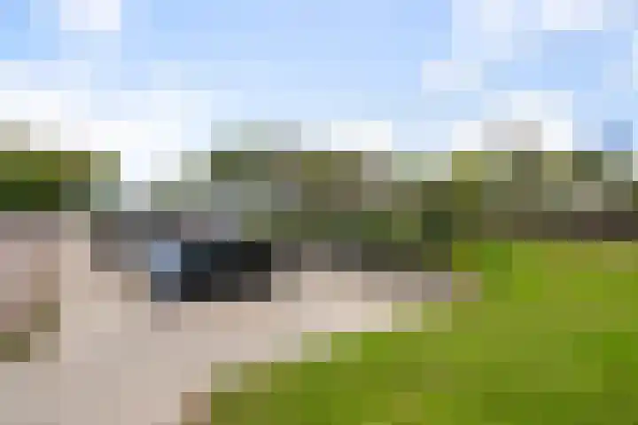 Wolff en Dekenlaan 15 Driehuis NH thumbnail 71