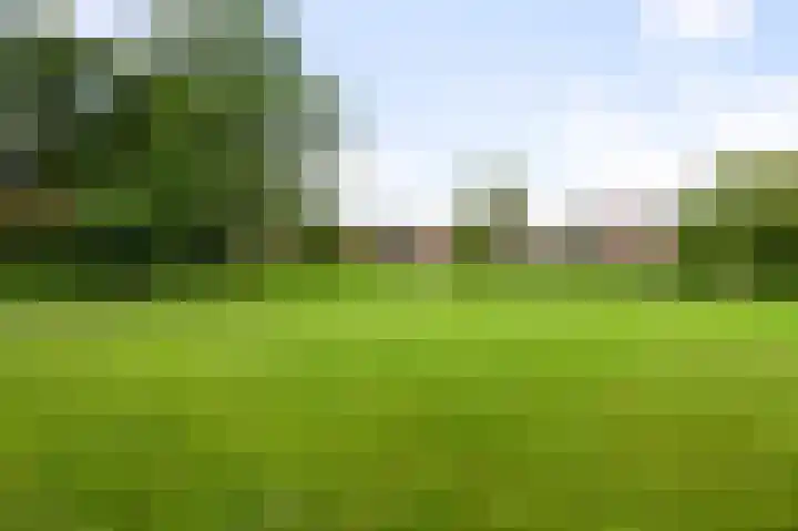 Wolff en Dekenlaan 15 Driehuis NH thumbnail 72
