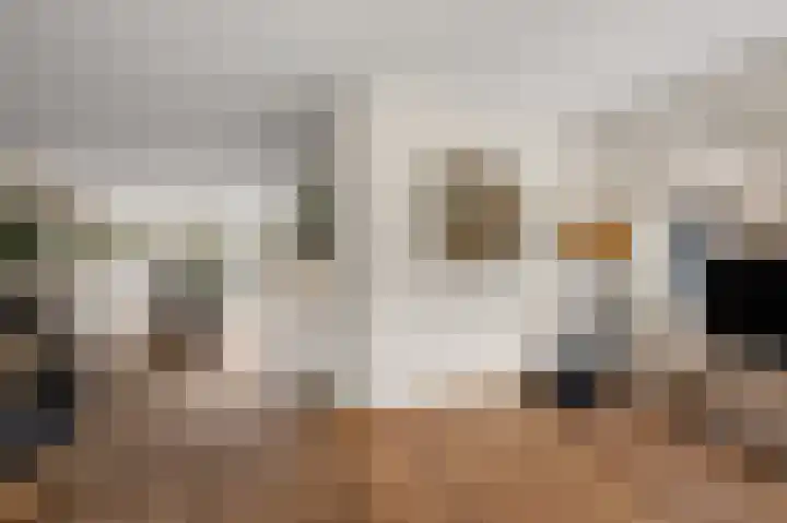 Wolff en Dekenlaan 15 Driehuis NH thumbnail 8
