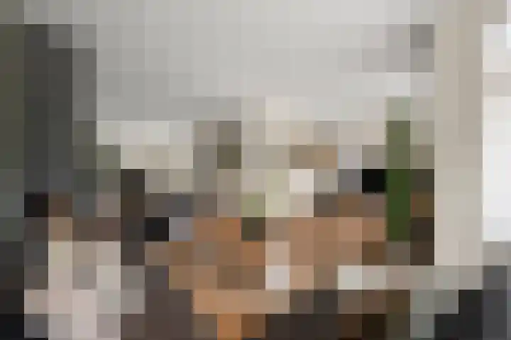 Wolff en Dekenlaan 15 Driehuis NH thumbnail 9