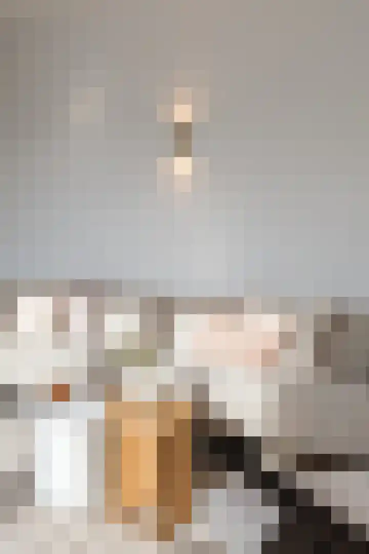 Wolff en Dekenplein 3 A Utrecht thumbnail 11