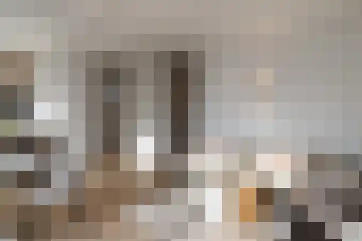 Wolff en Dekenplein 3 A Utrecht thumbnail 12