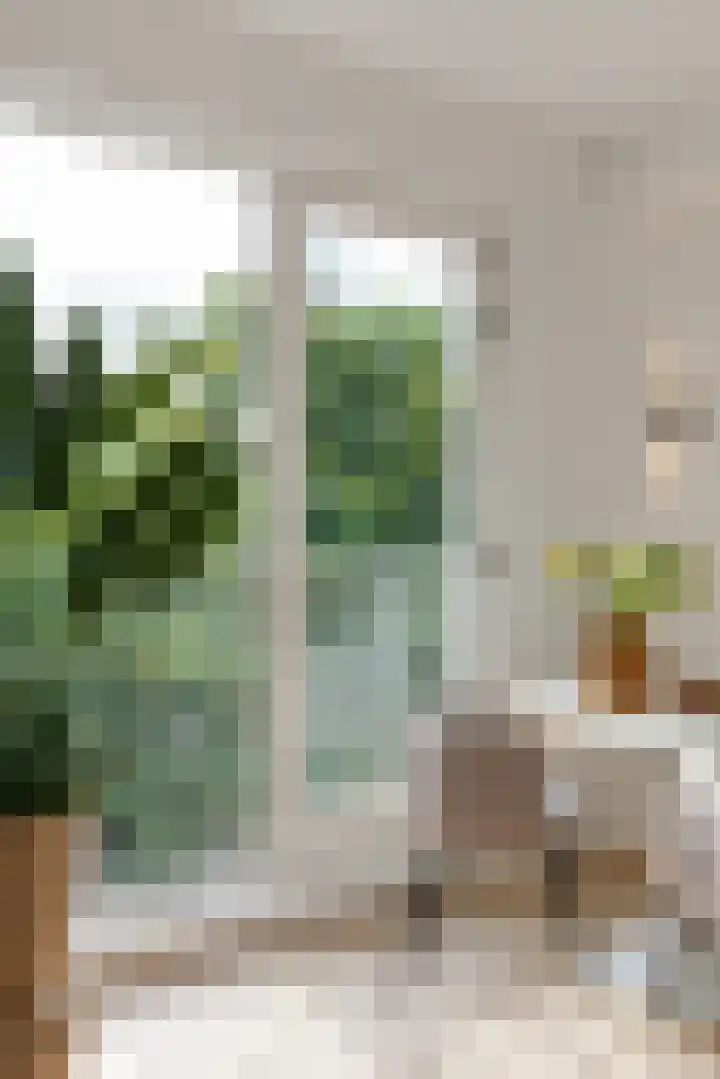 Wolff en Dekenplein 3 A Utrecht thumbnail 7