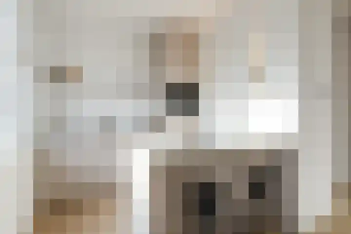 Wolff en Dekenplein 3 A Utrecht thumbnail 8