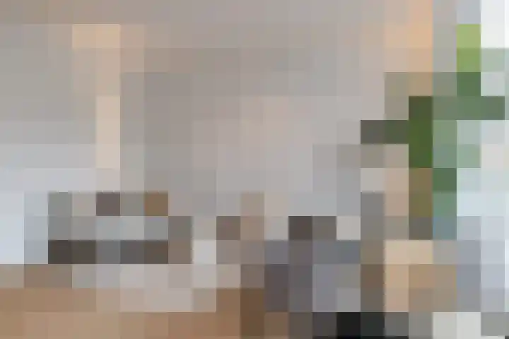 Wolff en Dekenplein 3 Utrecht thumbnail 10