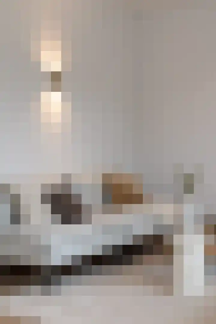 Wolff en Dekenplein 3 Utrecht thumbnail 11