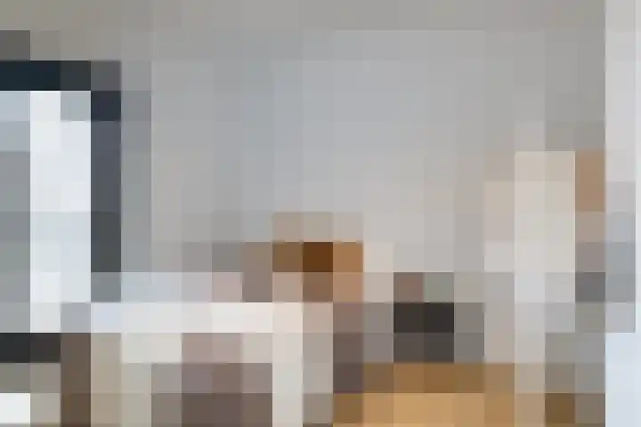 Wolff en Dekenplein 3 Utrecht thumbnail 14