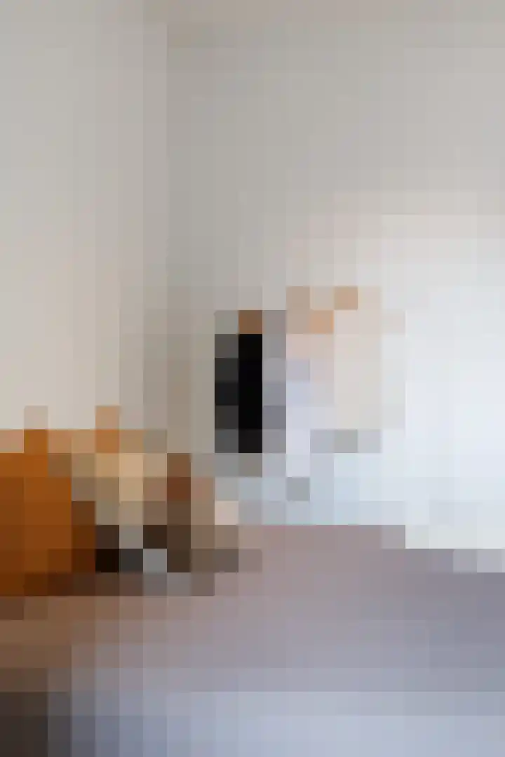 Wolff en Dekenplein 3 Utrecht thumbnail 15