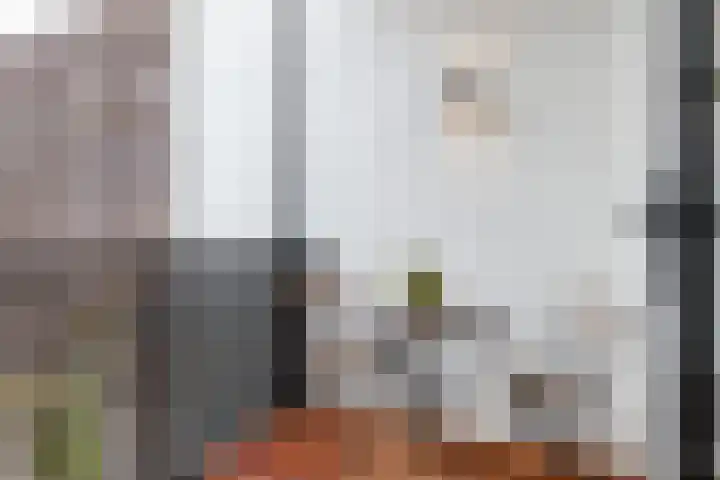 Wolff en Dekenplein 3 Utrecht thumbnail 16