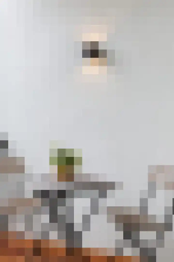 Wolff en Dekenplein 3 Utrecht thumbnail 17
