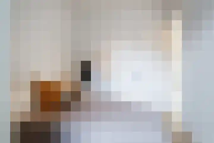 Wolff en Dekenplein 3 Utrecht thumbnail 18