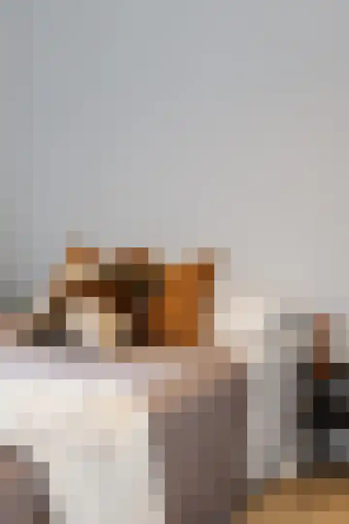 Wolff en Dekenplein 3 Utrecht thumbnail 19