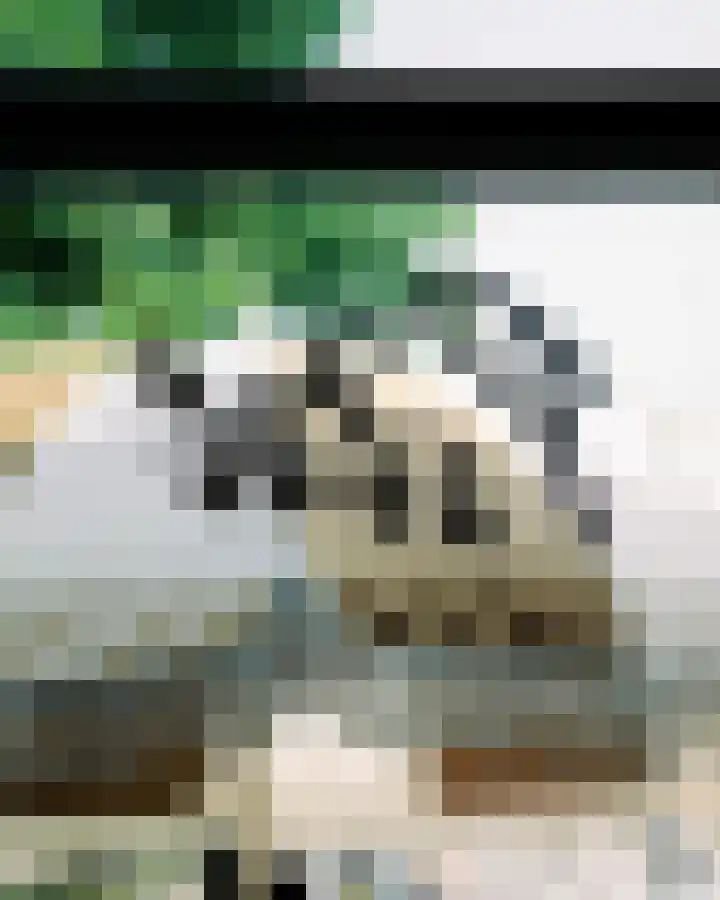 Wolff en Dekenplein 3 Utrecht thumbnail 28