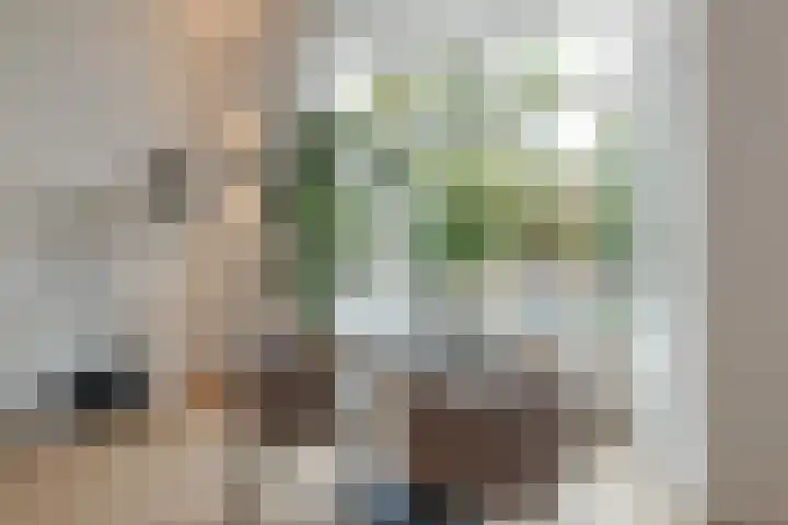 Wolff en Dekenplein 3 Utrecht thumbnail 6